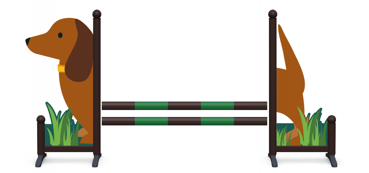 Sausage Dog (Young Riders)