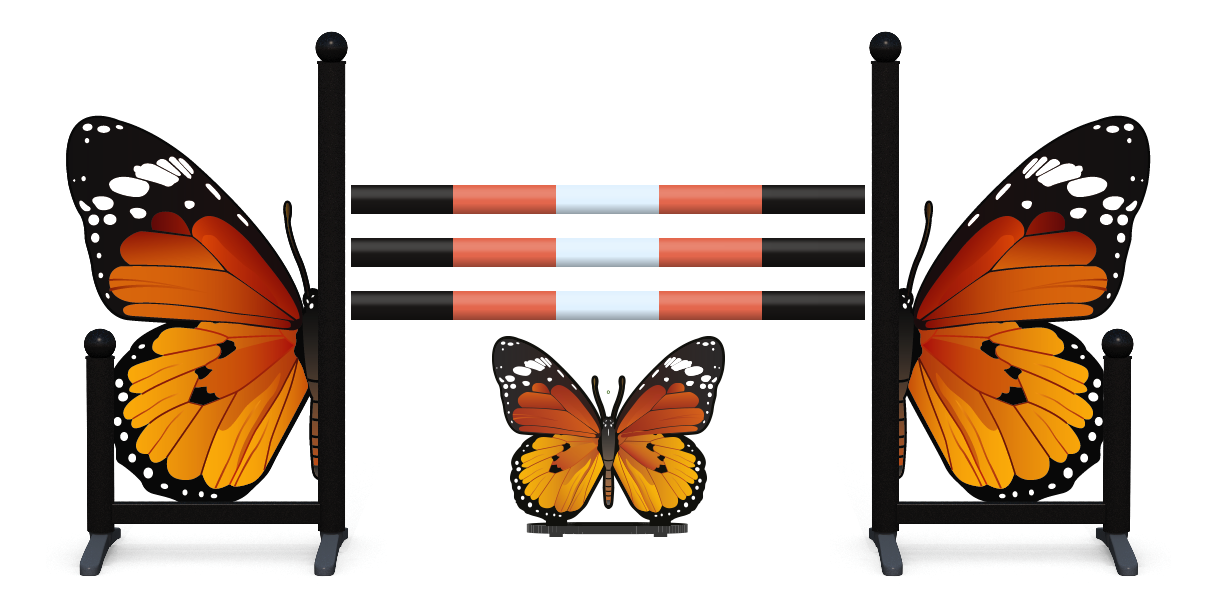 Butterfly Skinny Jump