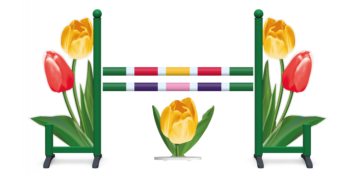 Tulip Skinny Jump
