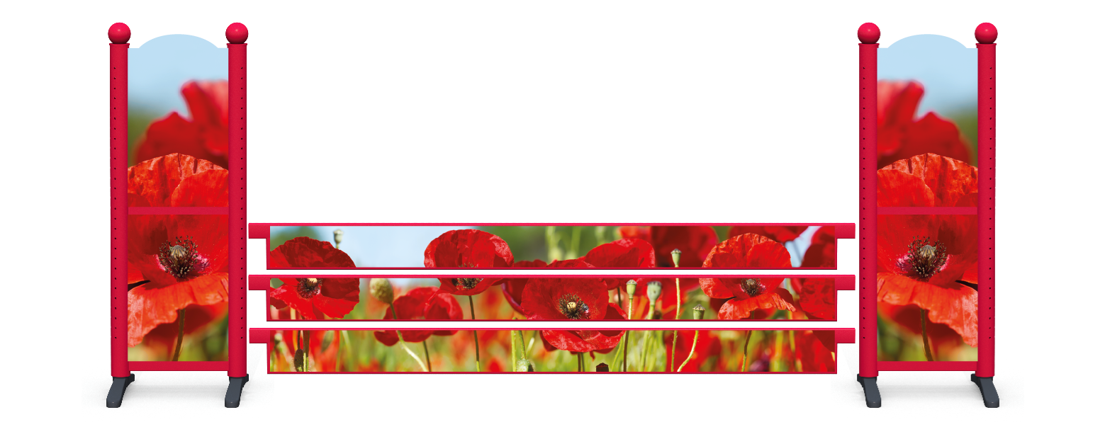Poppies