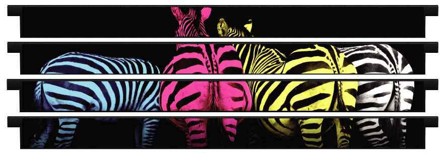 Planks > Straight Plank x 4 > Colourful Zebras