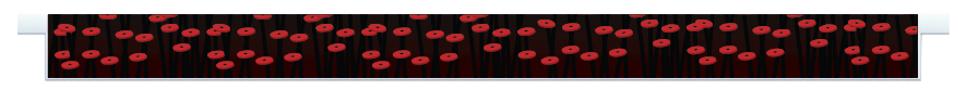 Planks > Straight Plank > Poppies
