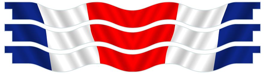 Planks > Wavy Plank x 3 > French Flag